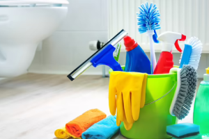 Messie Reinigung Fürth