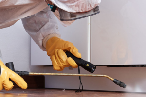 Messie Schädlingsbekämpfung Fürth